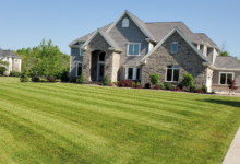 Professional Lawn Care