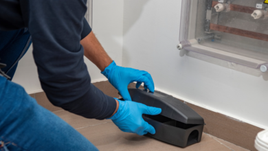 Why Pest Control is the Smartest Investment for Your Property