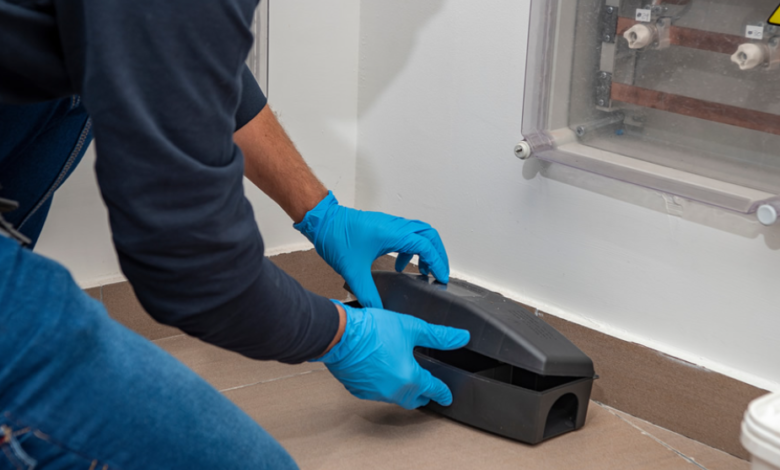 Why Pest Control is the Smartest Investment for Your Property