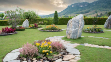 Jardines con Piedras y Troncos: A Natural Approach to Garden Design