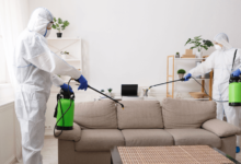 Home Pest Control Services Coquitlam Effective Solutions for a Pest-Free Home