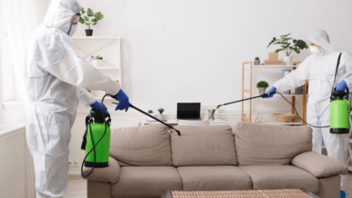 Home Pest Control Services Coquitlam Effective Solutions for a Pest-Free Home