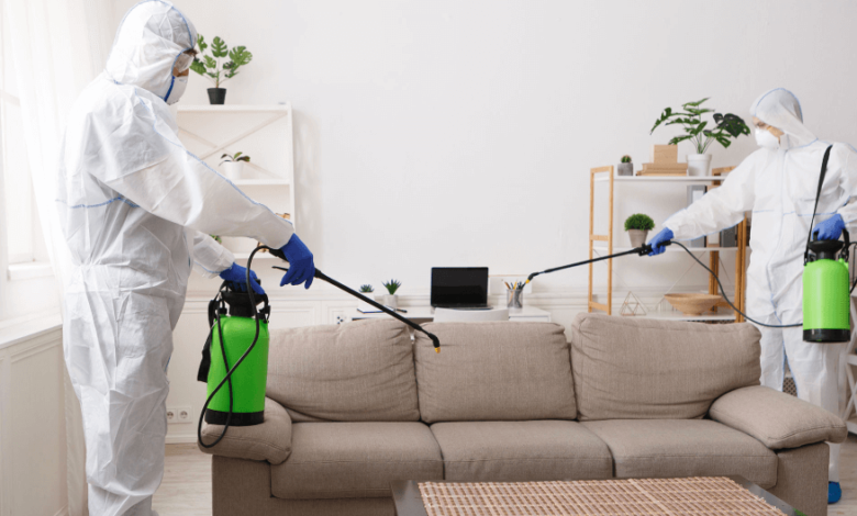 Home Pest Control Services Coquitlam Effective Solutions for a Pest-Free Home