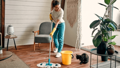 The Best Way for a Tenant to Clean Their Rental Room by Room