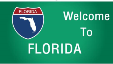 Florida License Points: What You Need to Know