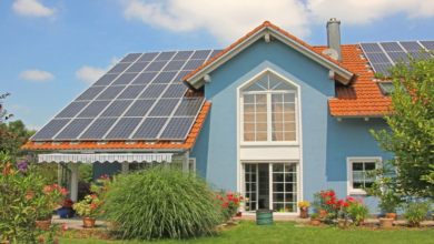 Insulate Smarter: Eco-Friendly Materials for an Energy-Efficient Home