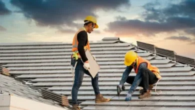 Roofing Myths Debunked: What You Need to Know About Roof Care