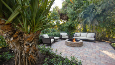 Landscaping Tips for Venice FL Homeowners for Creating a Backyard Oasis