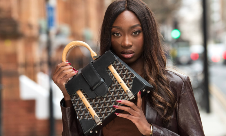 The Interesting Design Aspects of a Goyard Women Bag