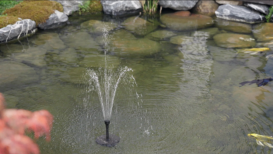 The Ultimate Guide to Solar Fountains: Harnessing the Power of the Sun