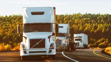 Cloud-Based Logistics Management: Advantages and Difficulties