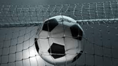 Wholesale Sports Balls
