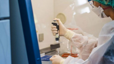 Participation Pathways in Clinical Trial Research Studies in Phoenix, AZ