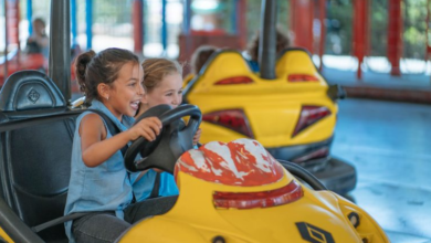 Comprehensive Guide to Dodgem Cars and Trackless Trains for Amusement Parks
