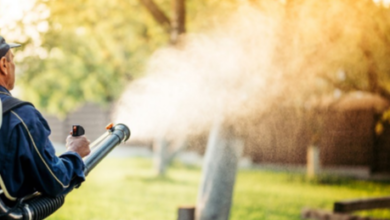 Organic Mosquito Treatment Options: What Are the Costs & Effectiveness? 