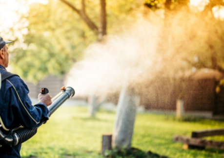 Organic Mosquito Treatment Options: What Are the Costs & Effectiveness? 