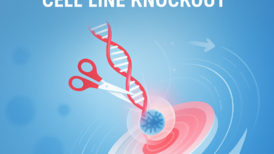 How CRISPR Gene Editing Delivers Efficient Cell Line Knockout