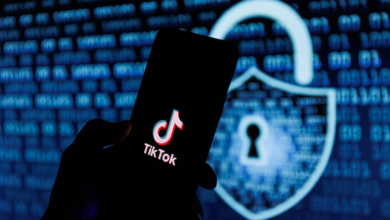 TikTok Under Fire: Data Transparency Issues and Links to Online Gambling Probed