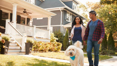 Tips for Making Your Pet More Comfortable in Your Townhome