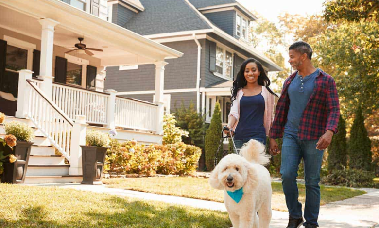 Tips for Making Your Pet More Comfortable in Your Townhome