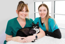 Pet CPR: Quick Guide to Saving Your Dog or Cat in Crisis