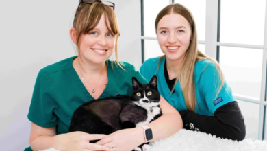 Pet CPR: Quick Guide to Saving Your Dog or Cat in Crisis