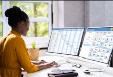 PMI SP Certification Roadmap for Busy Project Professionals