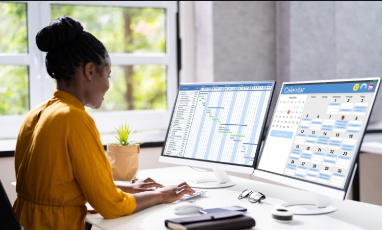 PMI SP Certification Roadmap for Busy Project Professionals