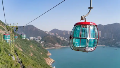Top 3 Hong Kong Travel Attractions Nobody Should Miss