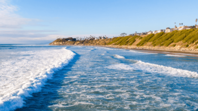 La Jolla vs. Carlsbad: Which California coastal destination should you choose?