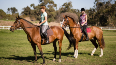 Trail riding vs. Horseback riding: What’s the difference & which should you try?