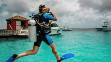 Resort Features That Enhance Your Diving Experience