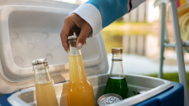 Top Features That Matter In A Camping Fridge