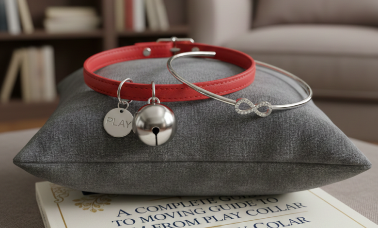 A Complete Guide to Moving from Play Collar to Day Collar