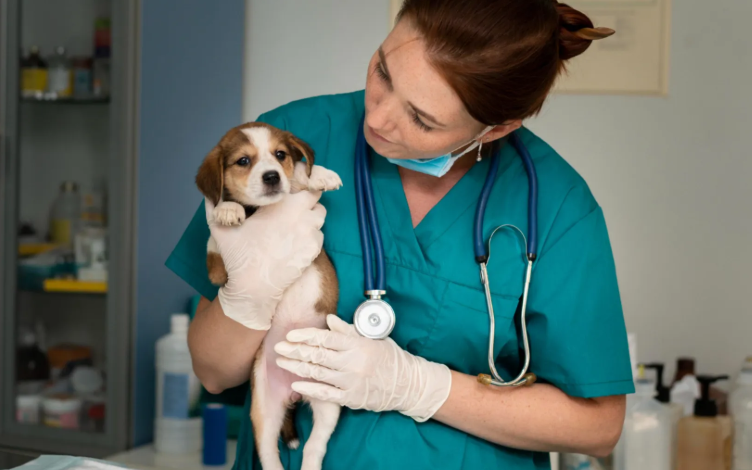 Modern Approaches to Pet Health and Wellness