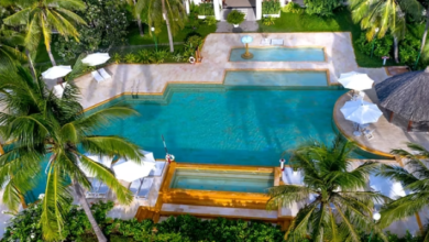 How Custom Pool Shapes Influence Flow and Movement