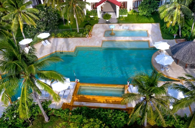 How Custom Pool Shapes Influence Flow and Movement