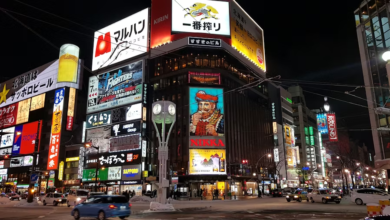 Explore Japan's Hidden Gem: Unforgettable Sapporo Day Tour Guide