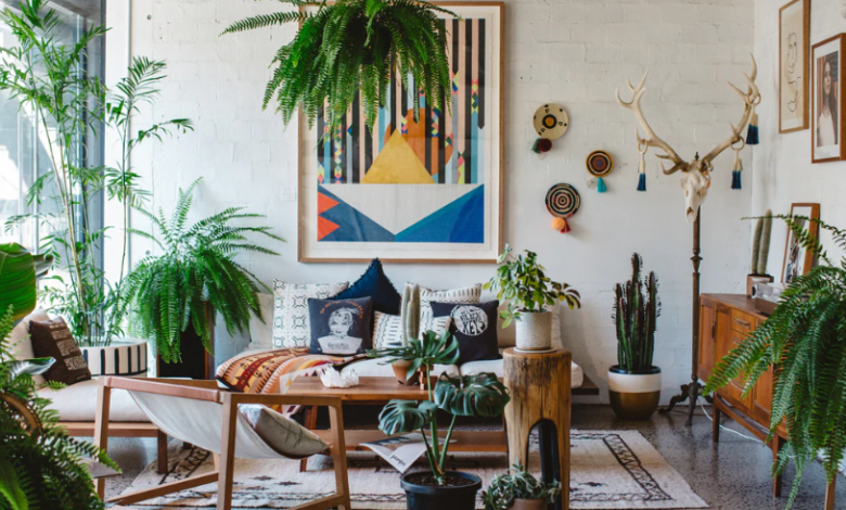 How Can Plants Enhance Your Living Room Design?