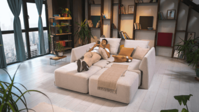 Transforming Sleep Spaces: How Furniture Shapes Comfort and Well-Being