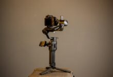 stability in professional systems