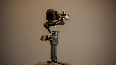 stability in professional systems