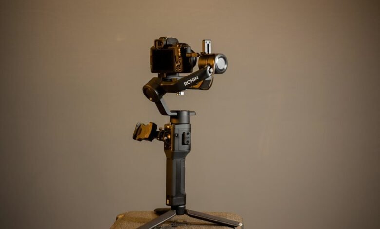 stability in professional systems