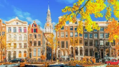 Combine Amsterdam Airport Transfers with a Kinderdijk Tour from Amsterdam