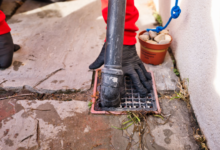 Rats Were Entering Through Gaps Around Old Pipes in Your Property