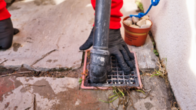Rats Were Entering Through Gaps Around Old Pipes in Your Property